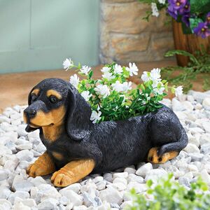 Növénytartó tacskó kép