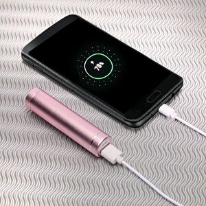 Powerbank 3000 mAh kép