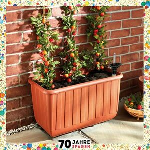 Paradicsomágyás kerekeken kép