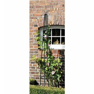 Támasz futónövényekhez kép