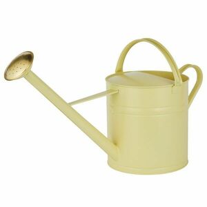 ZINC öntözőkanna, vajszín 8 L kép