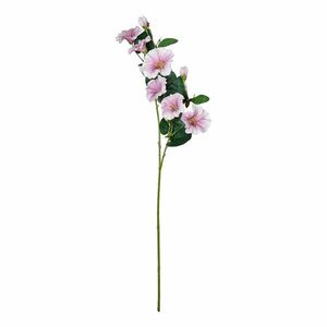 FLORISTA hajnalpír 76cm , lila/fehér kép