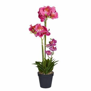 FLORISTA cserepes orchidea 51 cm , rózsaszín kép