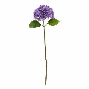 Művirág (magasság 73, 5 cm) Hydrangea – Bloomingville kép