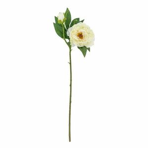 Művirág (magasság 62 cm) Peony – Bloomingville kép