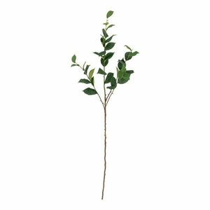 Eukaliptusz műnövény (magasság 110 cm) Eucalyptus – Bloomingville kép