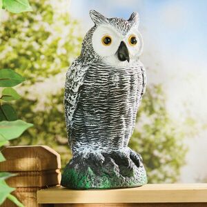 Madárijesztő Bagoly kép