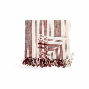 Terrakotta színű pamut takaró 150x200 cm Indira – Tiseco Home Studio kép