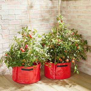 2 db paradicsomültető szettben kép