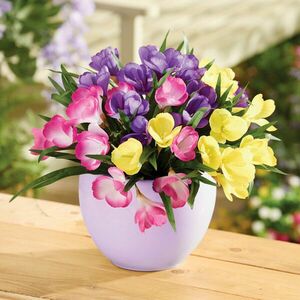 3 db krókuszcsokor, műnövény kép