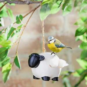 Madárfészek juh kép