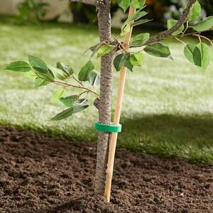 3 tépőzár növényekhez kép