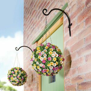 Virággömb százszorszép kép