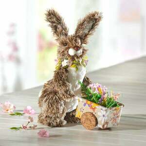 Nyuszi kocsival kép