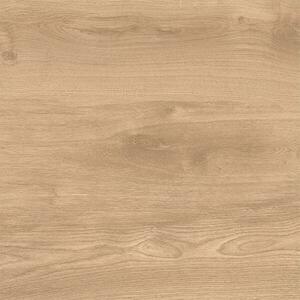 Latina Beige 60/60/2 kép