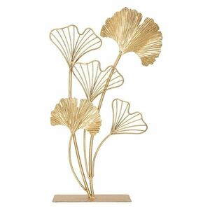 Ginkgo biloba C5 80-100 kép