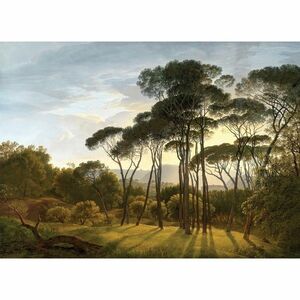 Fototapéta XXL Old Forest 360 x 254 cm, 4 részből kép