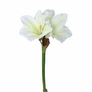 Mű Amaryllis fehér - zöld, 52 cm kép