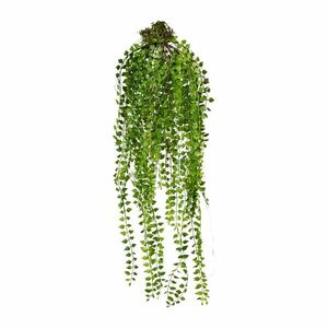 Művirág Columnea függő, 48 cm, zöld kép