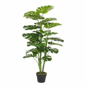 Monstera műnövény (magasság 120 cm) Philodendron – Bizzotto kép