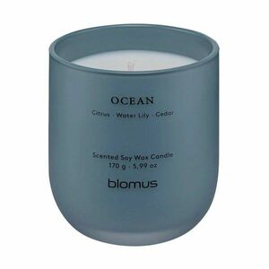 Illatos szójaviasz gyertya, égési idő 35 ó Tuoksu Ocean – Blomus kép