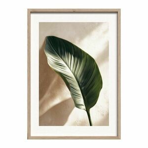 Nyomtatott keretezett kép 50x70 cm Strelizia Leaf – Styler kép
