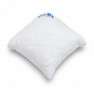 Kvalitex Aloe Vera párna cipzárral 300 g , 40 x 40 cm kép