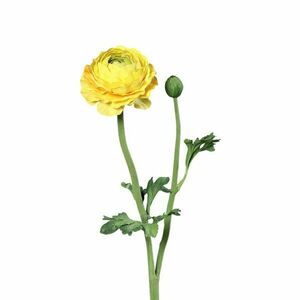 Művirág (magasság 50 cm) Buttercup – Ego Dekor kép