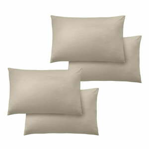 Mikroszálas párnahuzat szett 4 db-os 50x75 cm So Soft Easy Iron – Catherine Lansfield kép