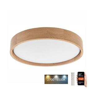 Brilagi - MANAROLA SMART LED mennyezeti lámpa 24W/230V + Tuya DO kép