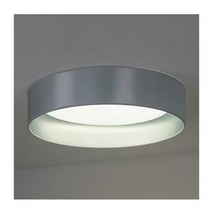 - LED Mennyezeti lámpa ROLLER LED/24W/230V átm. 45 cm ezüst 605359 kép