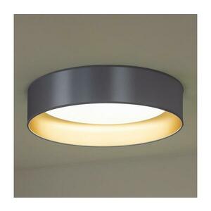 - LED Mennyezeti lámpa ROLLER LED/24W/230V átm. 45 cm ezüst/arany 605311 kép