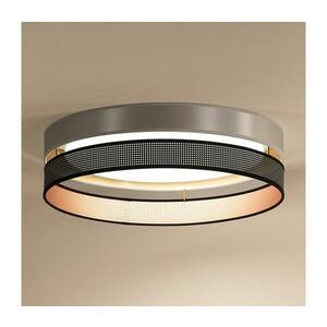 -LED Mennyezeti lámpa ROLLER DUO SH. LED/24W/230V átm. 45 cm ezüst/fekete 604192 kép