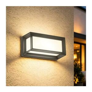 Brilagi - Kültéri fali lámpatest PARKER 1xE27/60W/230V antracit IP44 BRI766 kép