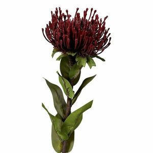 Művirág (magasság 74 cm) Protea – Ego Dekor kép