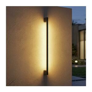 45873 - LED kültéri fali lámpa YALTE LED/12W/230V 3000/4000/6500K IP54 fekete 45873 kép