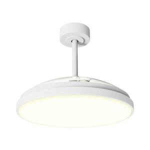 B.V. -LED Fényerőszabályozható mennyezeti látor LED/50W/230V 2700-6500K 106 cm+ távirányító fehér S103033K9 kép