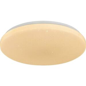 Rabalux 71444 - LED dimmelhető mennyezeti lámpa DANNY 2 LED/12W/230V 3000-6500K átm. 26 cm + távirányító 71444 kép