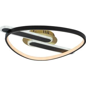 Rabalux 71467 - LED dimmelhető mennyezeti lámpa BRANTIEL LED/60W/230V 3000-6000K 53x45 cm+távirányító 71467 kép