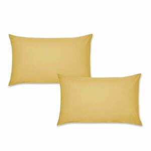 Perkál párnahuzat szett 2 db-os 50x75 cm Easy Iron Percale – Catherine Lansfield kép