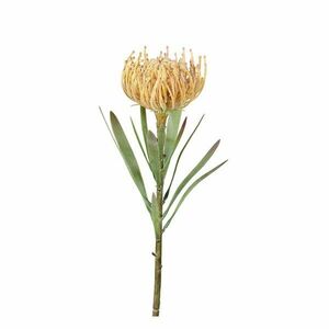 Művirág (magasság 43 cm) Protea – Ego Dekor kép