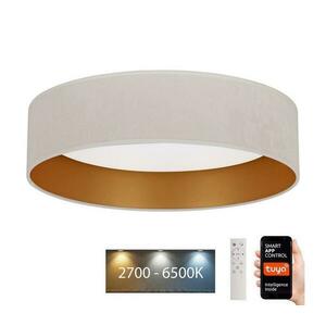 Brilagi - LED Dimmelhető lámpa VELVET SMART LED/24W/230V Wi-Fi Tuya + távirányító kép