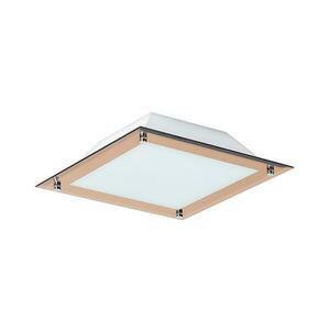 Rabalux 3045 - LED mennyezeti lámpa LARS 1xLED/12W/230V 3045 kép