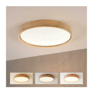 Brilagi - LED dimmelhető mennyezeti lámpa MANAROLA LED/36W/230V 3000–6500K átm. 51 cm + távirányító 8590828037781 kép
