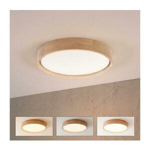 Brilagi - dimmelhető LED mennyezeti lámpa MANAROLA SMART LED/24W/230V átm. 41 cm + távirányító 8590828037798 kép