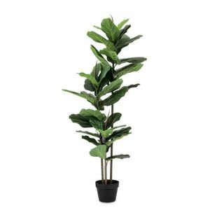 FICUS zöld műanyag művirág kép