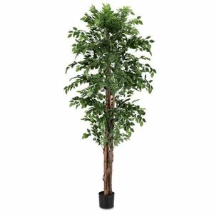 FICUS zöld műanyag művirág kép