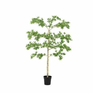 PITTOSPORUM zöld fém művirág kép