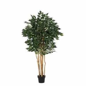 FICUS zöld műanyag művirág kép