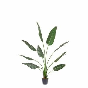 STRELITZIA zöld műanyag művirág kép